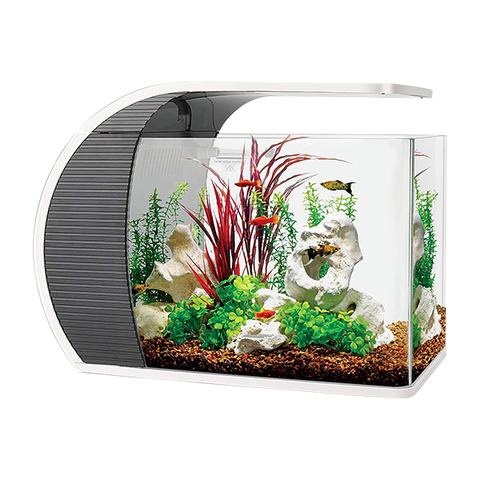 fish tank