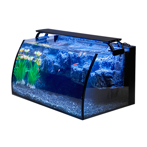 How to Keep Fish Tank Clean without Changing Water – Petnanny Store