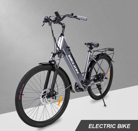 welkin ebike wkem002 36v 350w 10ah wholesale price