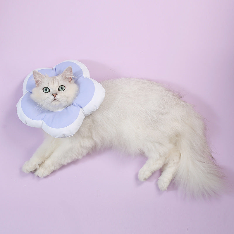 Waterproof Elizabeth collar for cats