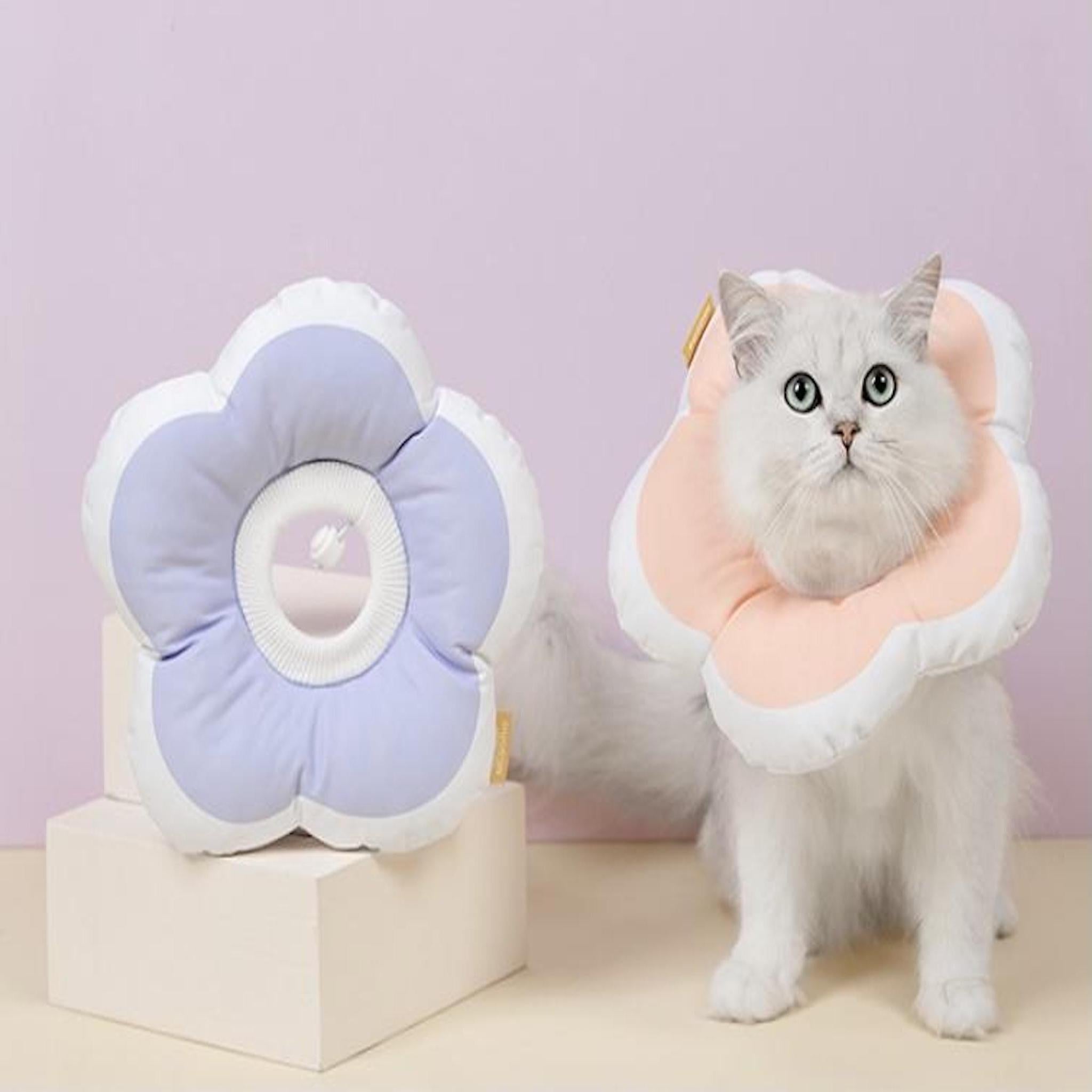 Waterproof Elizabeth collar for cats