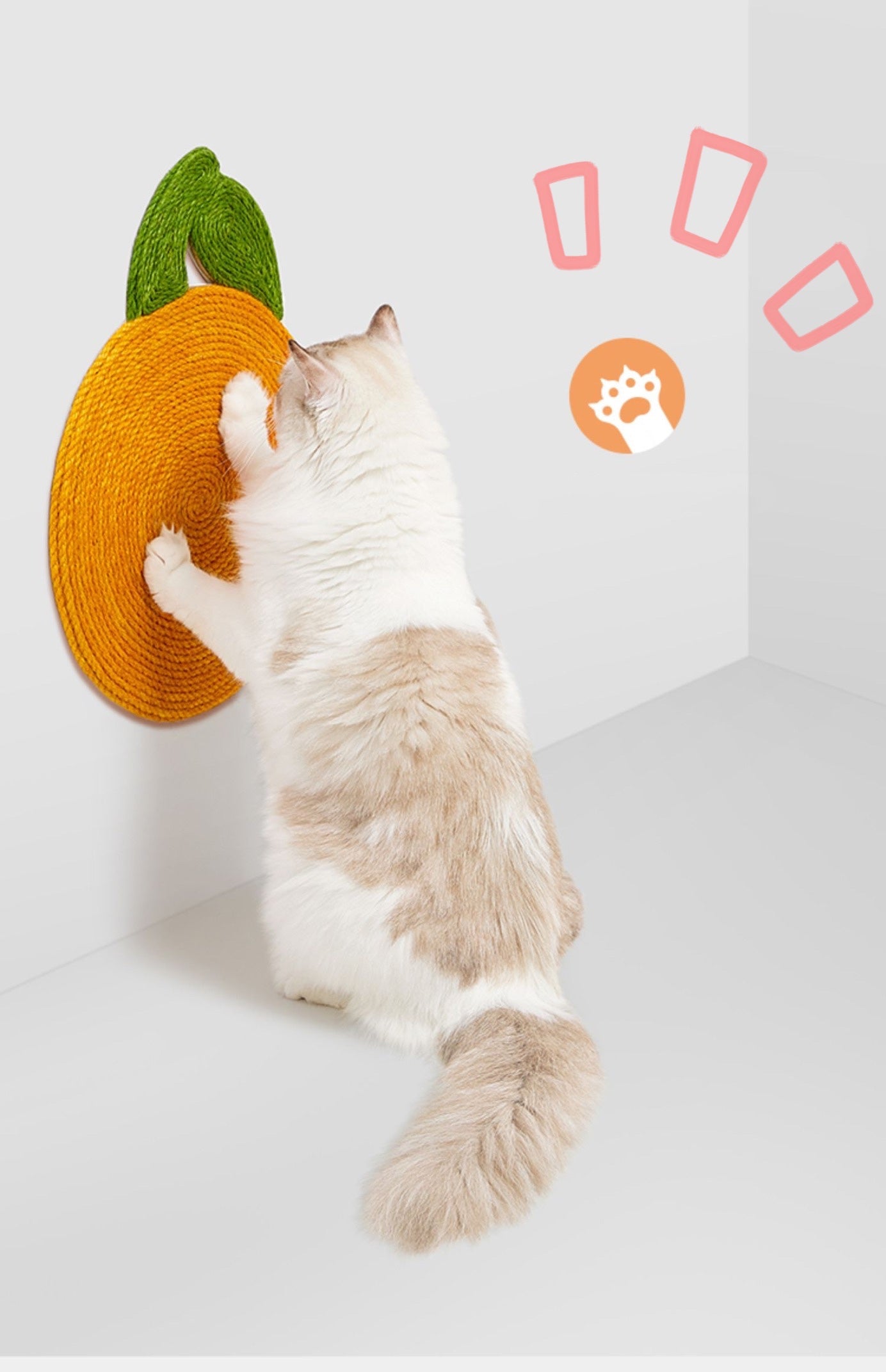 cute fruit cat scratcher, cat toys, peach and citrus
