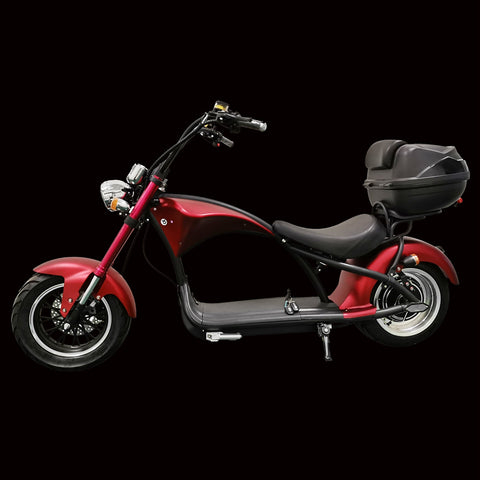 Custom Rooder super m1 2000w 20ah with rear box