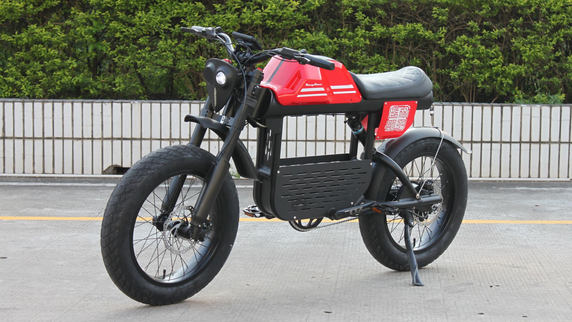 Rooder mangosteen electric bike ft-01 48v 1000w 30ah 50km/h