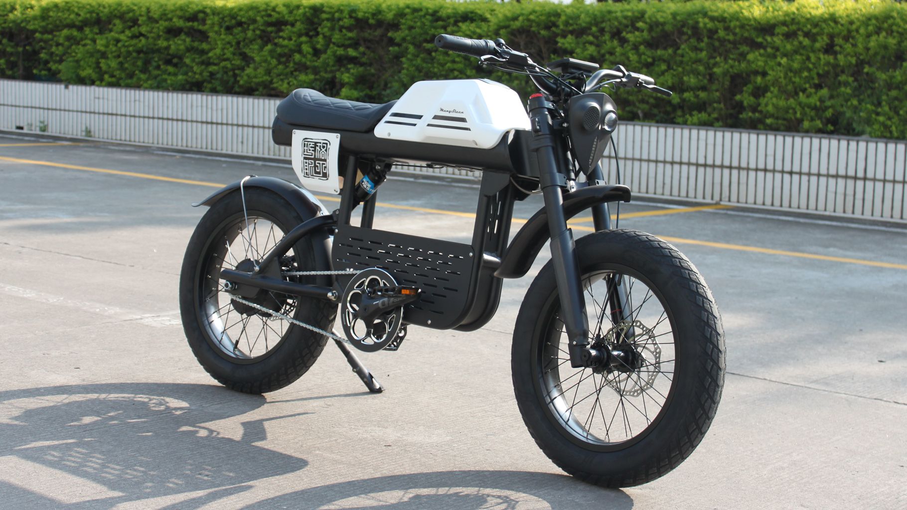 Rooder mangosteen electric bike ft-01 48v 1000w 30ah 50km/h