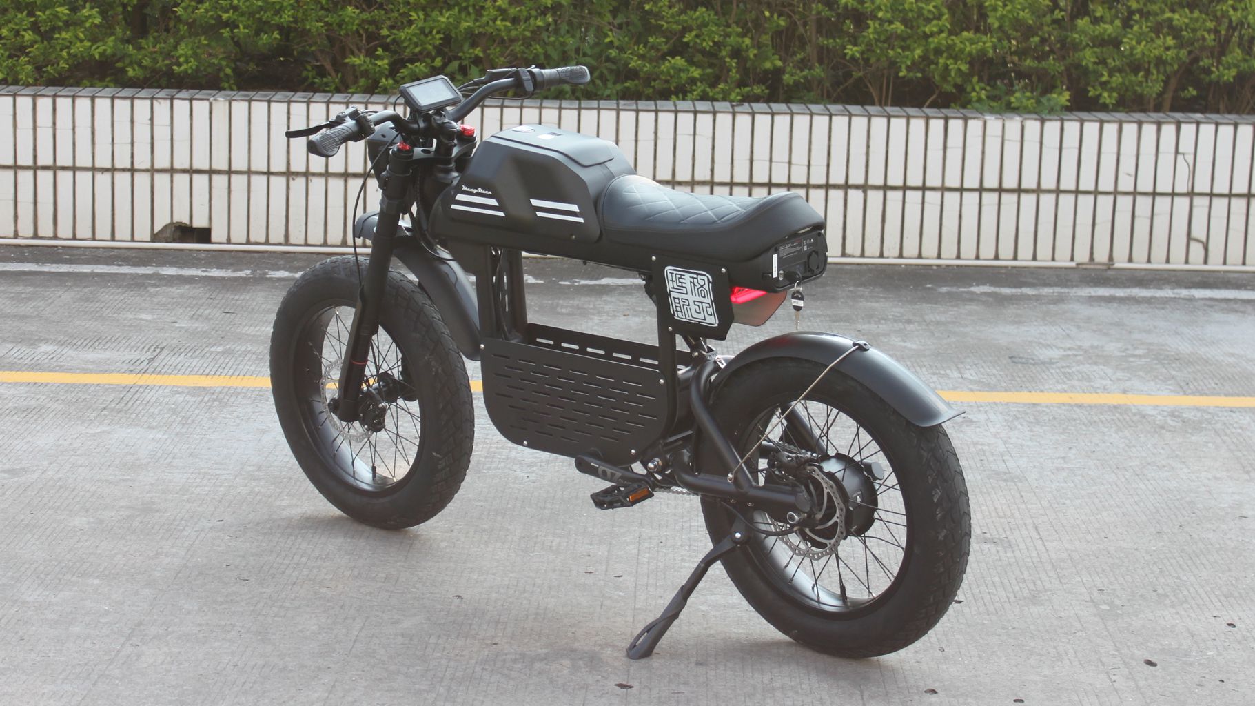 Rooder mangosteen electric bike ft-01 48v 1000w 30ah 50km/h