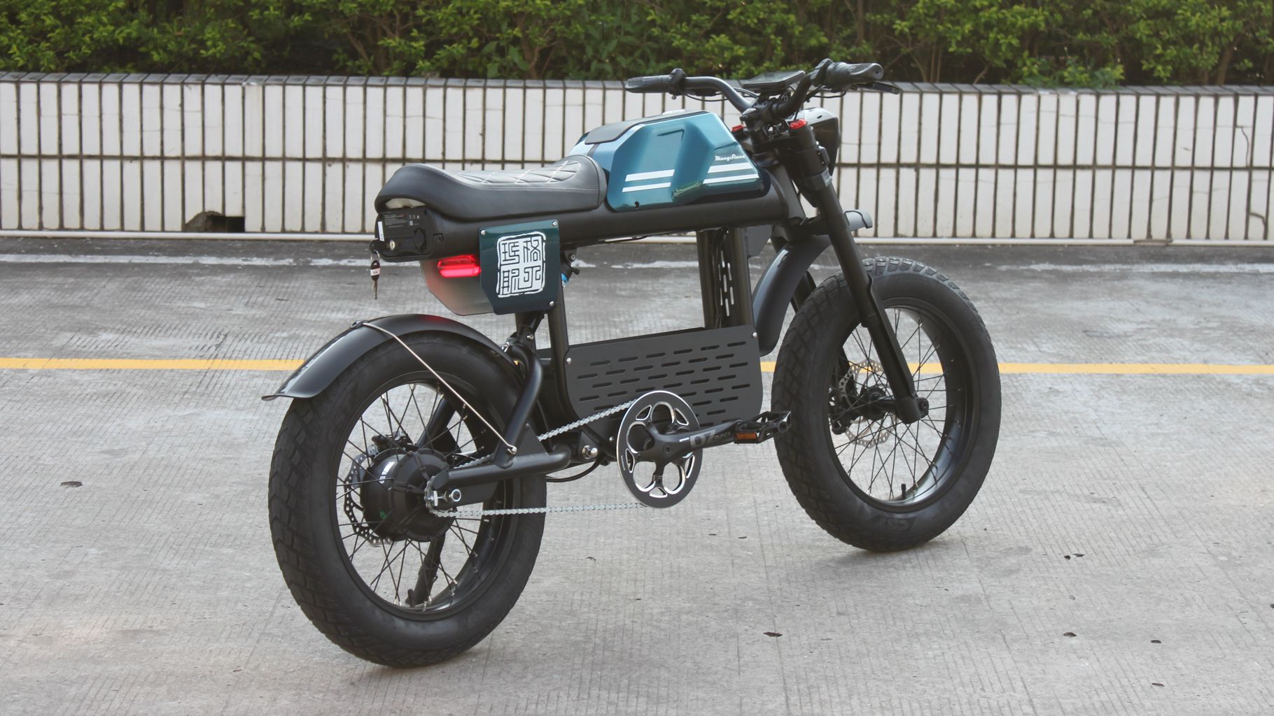 Rooder mangosteen electric bike ft-01 48v 1000w 30ah 50km/h