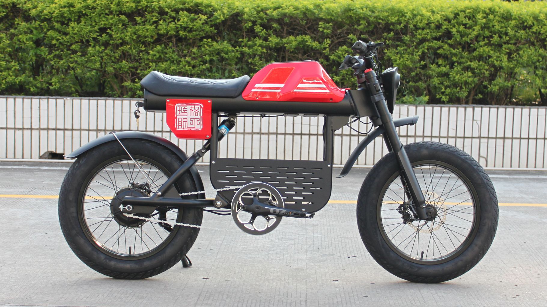 Rooder mangosteen electric bike ft-01 48v 1000w 30ah 50km/h