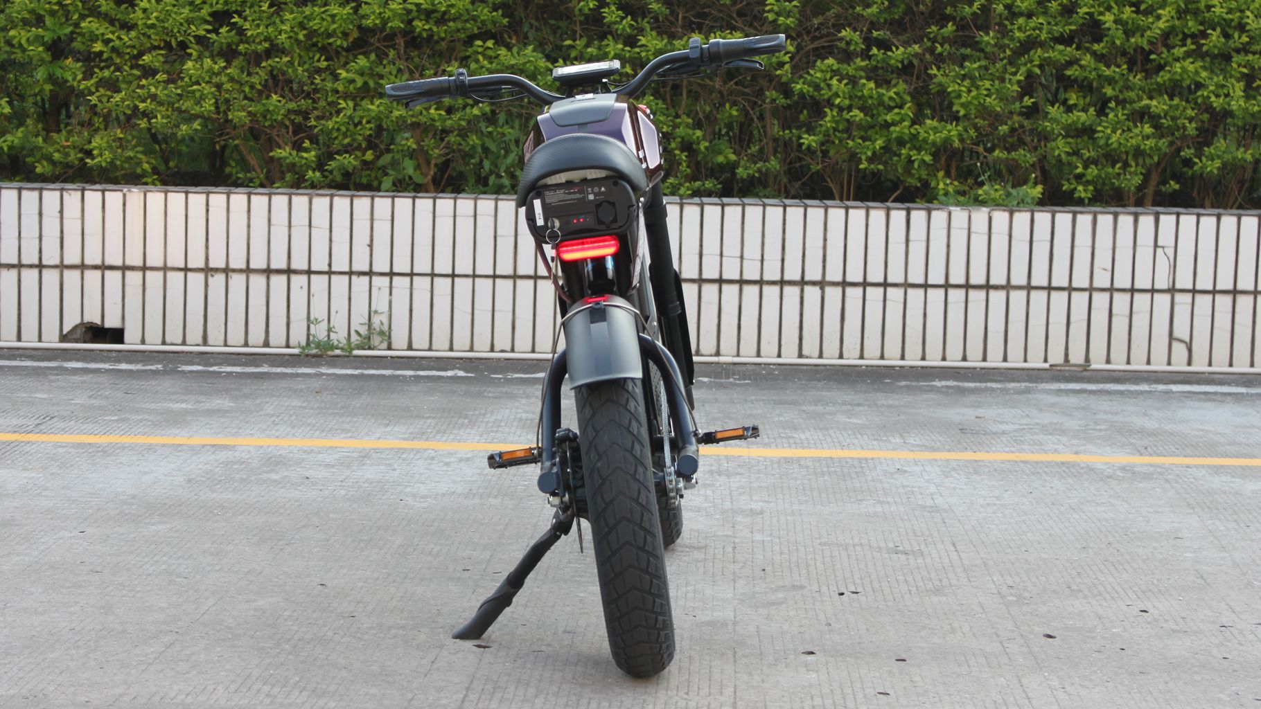 Rooder mangosteen electric bike ft-01 48v 1000w 30ah 50km/h