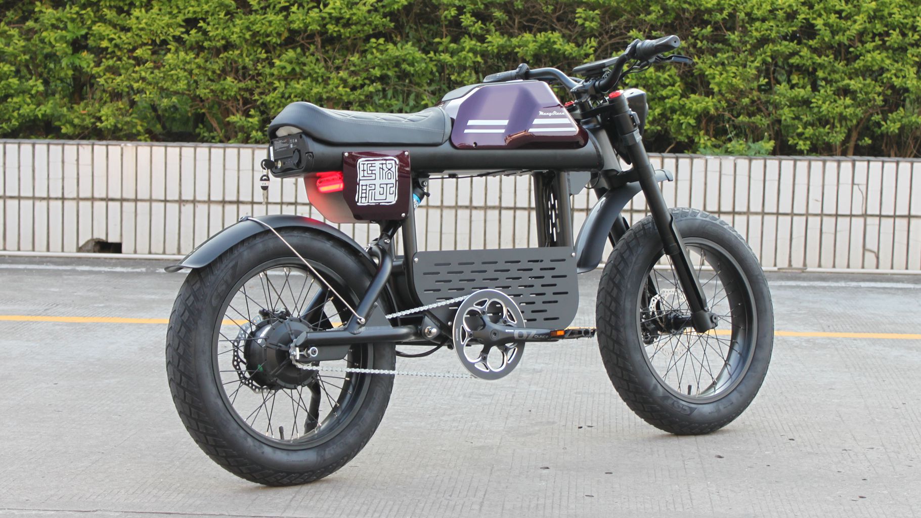 Rooder mangosteen electric bike ft-01 48v 1000w 30ah 50km/h