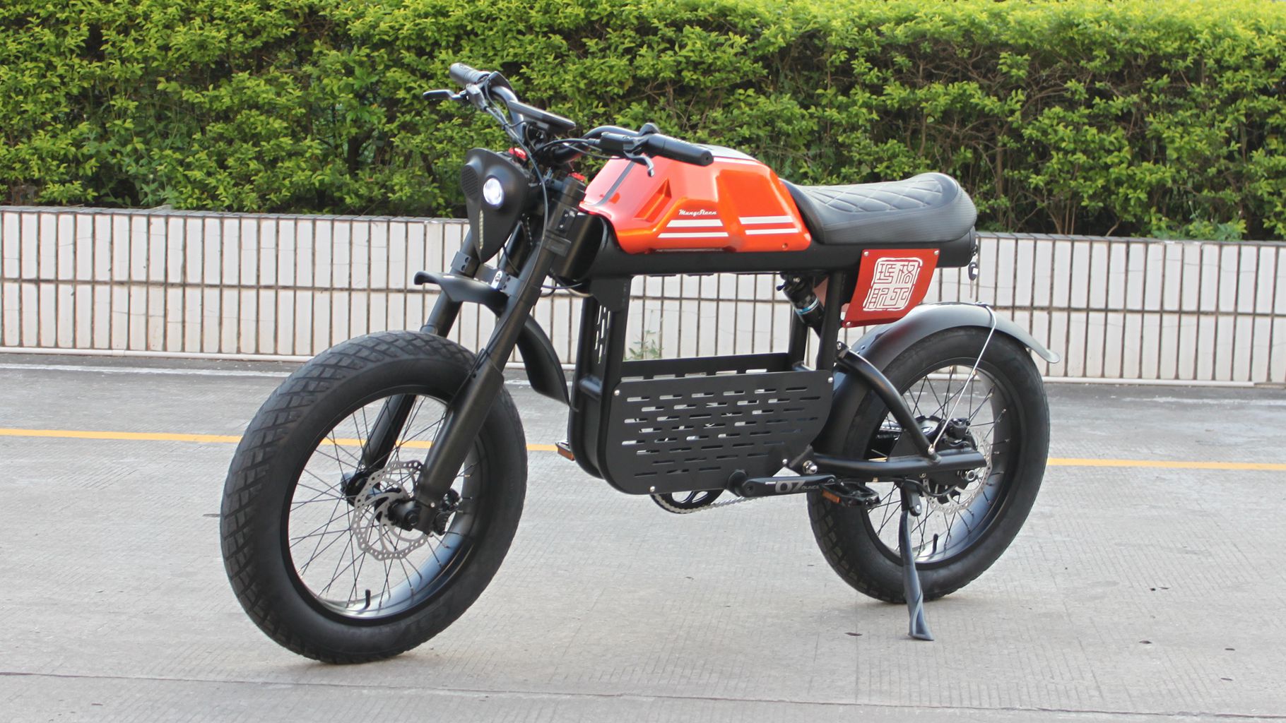 Rooder mangosteen electric bike ft-01 48v 1000w 30ah 50km/h