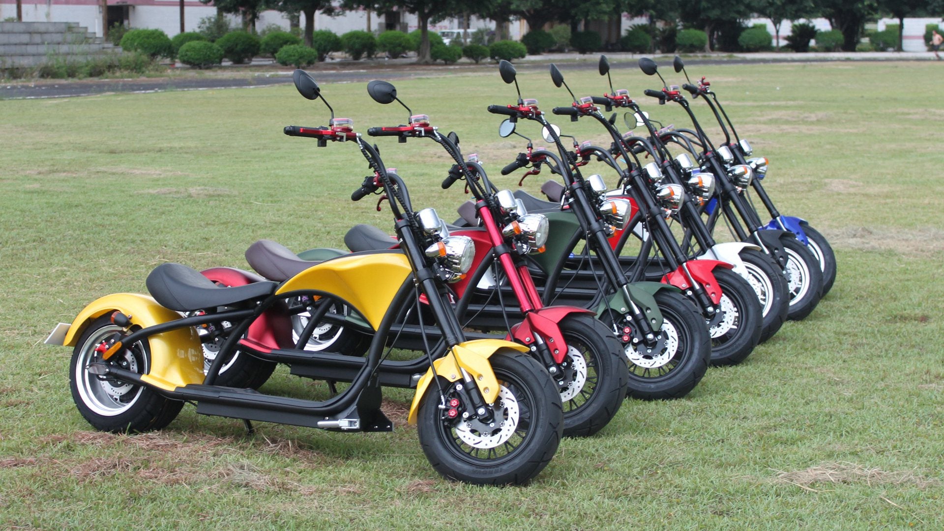 mangosteen citycoco m1, m1p, m1ps and m8