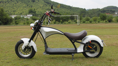 e roller citycoco chopper Rooder m1 2000w 20ah with rear box