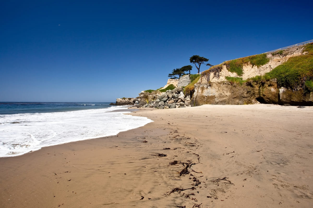 metal detecting on beaches