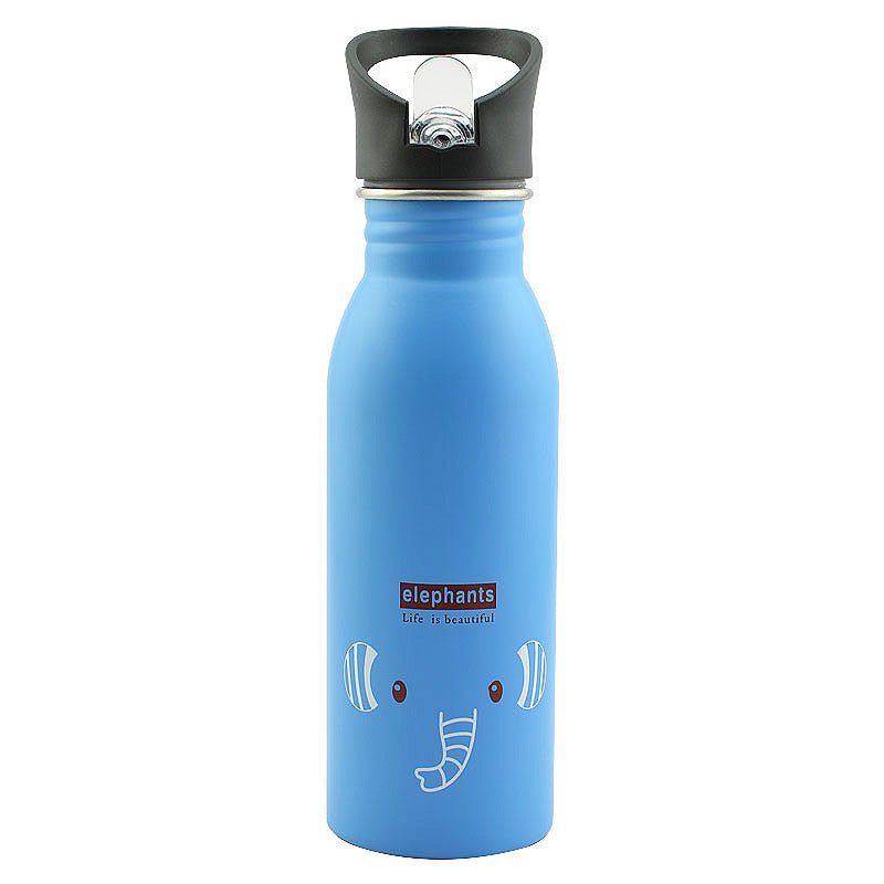 Stainless steel sports bottle