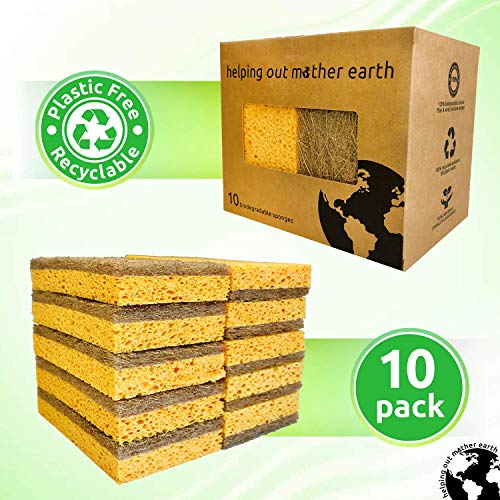 Natural Sponge 10 Pack - Eco Friendly Kitchen Sponge for Sustainable Living | Biodegradable Plant Based Cleaning Dish Sponge