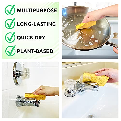 Natural Sponge 10 Pack - Eco Friendly Kitchen Sponge for Sustainable Living | Biodegradable Plant Based Cleaning Dish Sponge