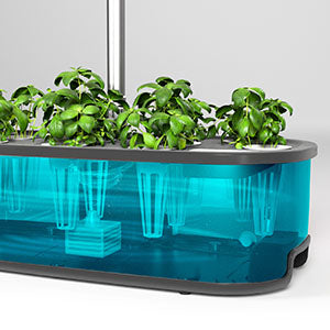 LPH-SE Hydroponice Growing System AUTOMATIC WATER-CYCLING SYSTEM&SILENT WATER PUMP
