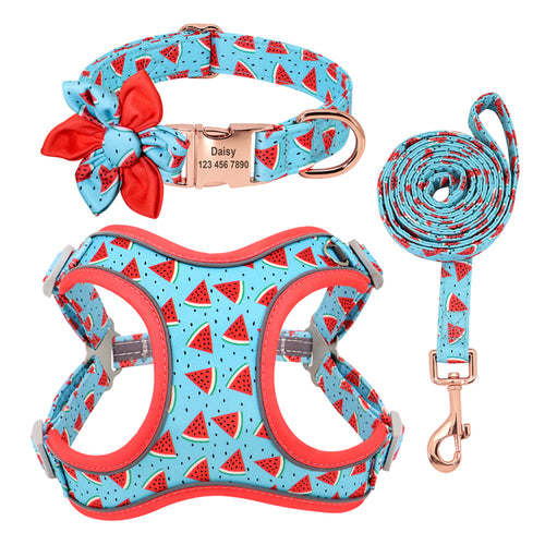 Custom Printed Dog Collar Leash Set Personalized Pet Dog Collar