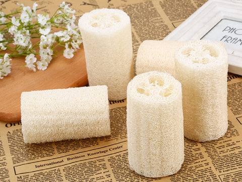 How to Use a Loofah Sponge for The Best Result