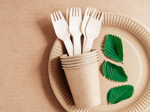 Eco-alternatives to Disposable Plastic Cutlery