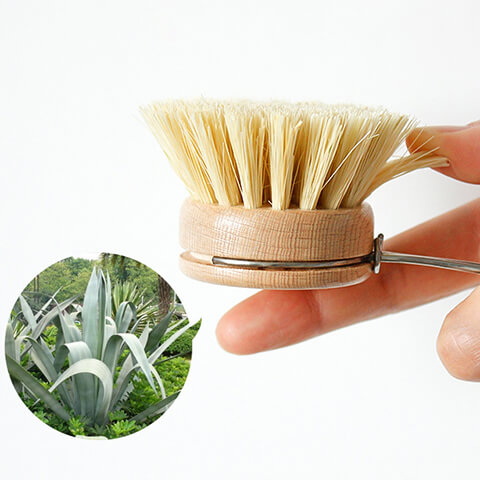 dish brush-3