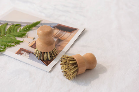 eco dish brush