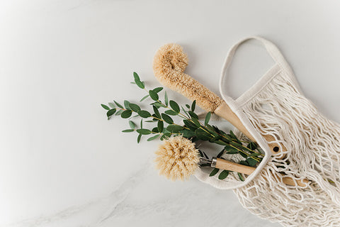 eco wooden dish brush