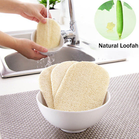 Benefits of Loofah