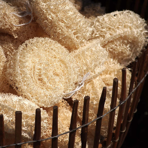 Natural Loofah sponge and loofah shower