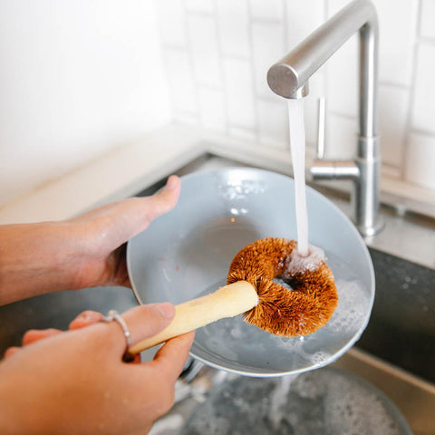 Why Use Natural Dish Cleaning Brush for kitchen and How to Use it? –  GreenLivingLife