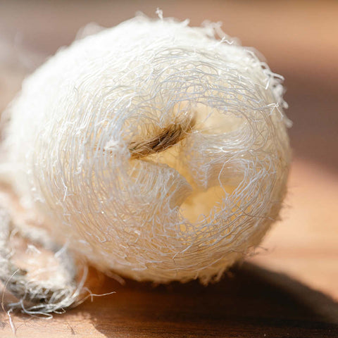 Natural Loofah Sponges 