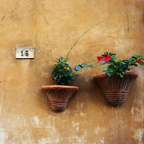 Wall Planter