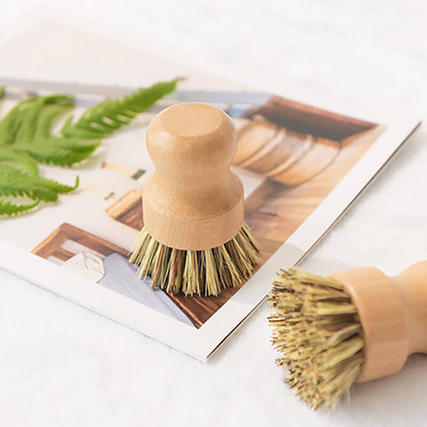 Why Use Natural Dish Cleaning Brush for kitchen and How to Use it? –  GreenLivingLife