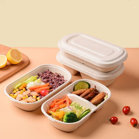 disposable compartment food containers with lids
