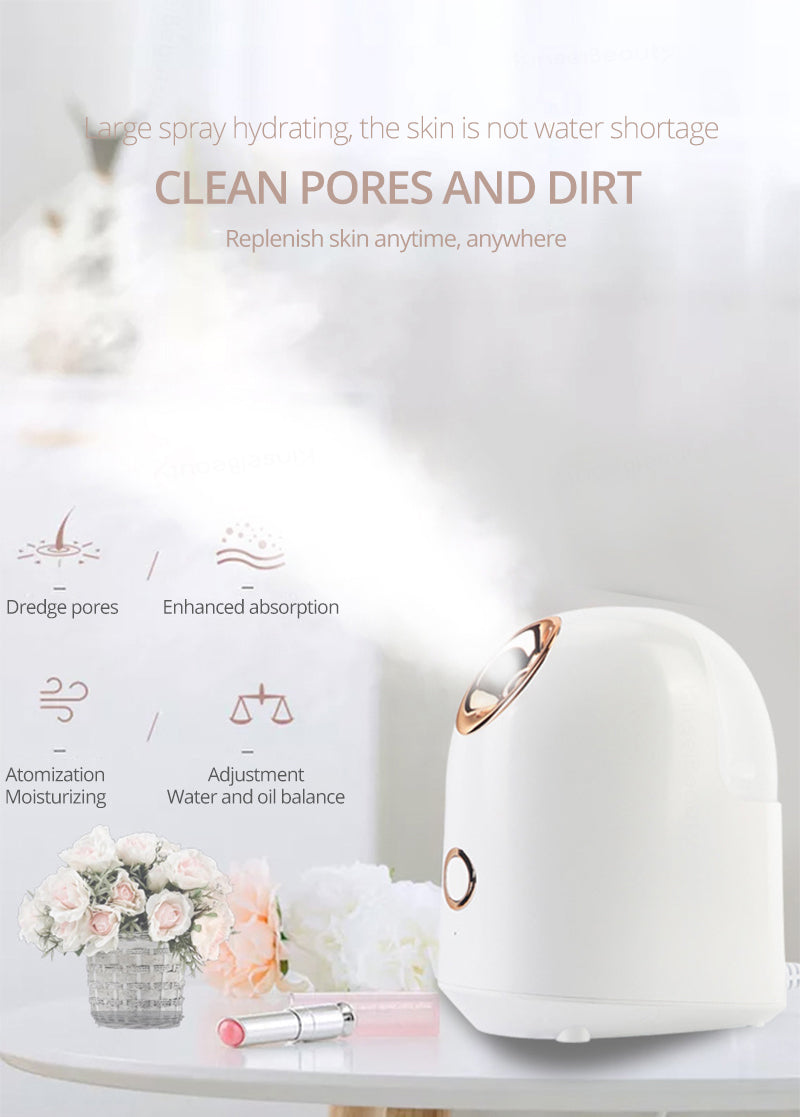 Facial Steamer Hot Nano Mister Sprayer Face Moisturizer Winter Skin Care Humidifier Nano Ionic Facial Sprayer Introduction