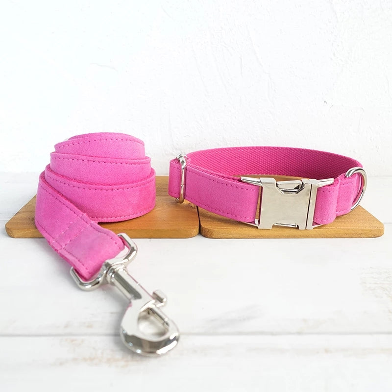 Dog collar leash collar