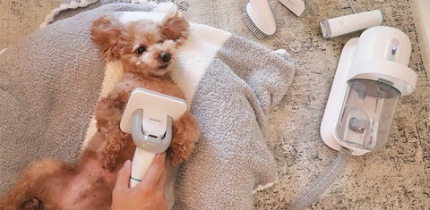 ペット美容器