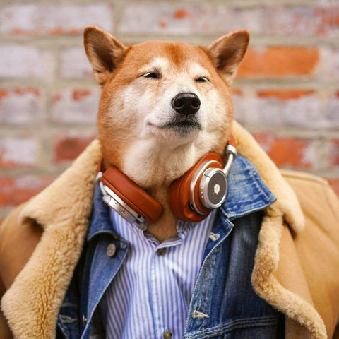 neabot ペット グルーミング