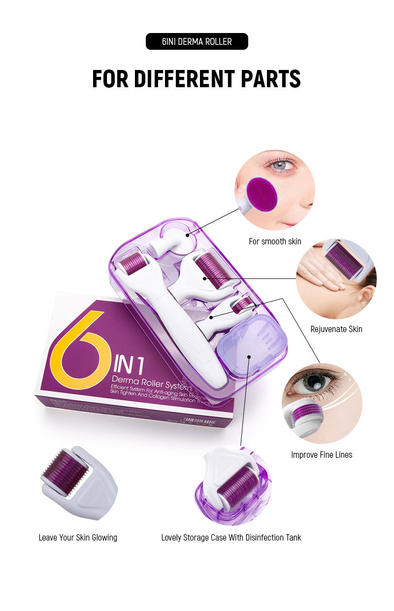 derma roller kit 6 in 1