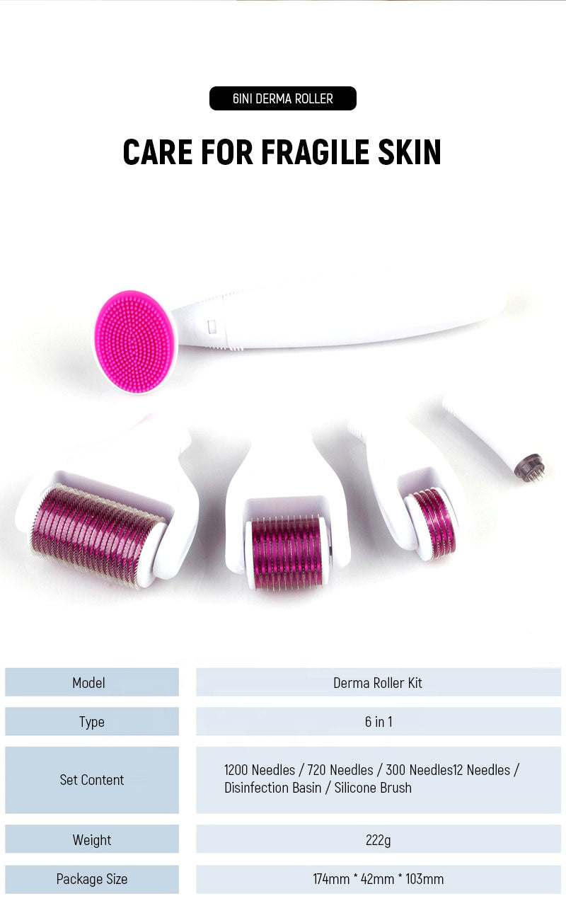 derma roller kit 6 in 1