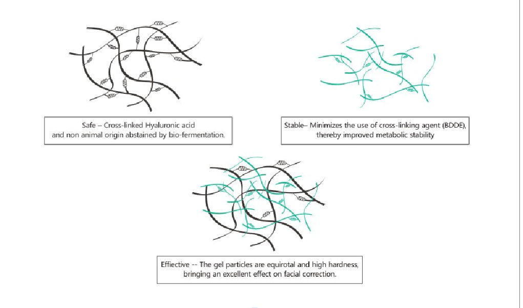 cross linked hyaluronic acid 
