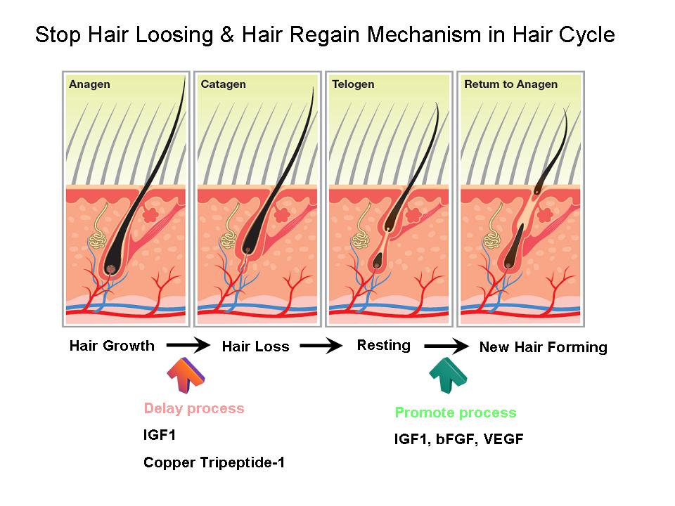 Otesaly Anti Hair Loss Mesotherapy