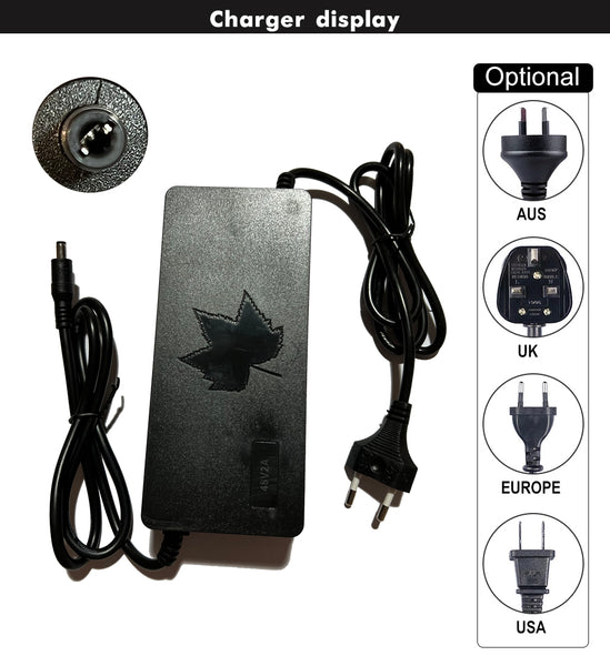48V 2A Battery Charger