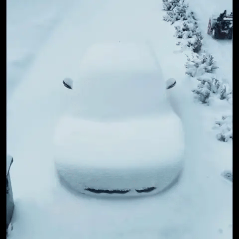  NeYLim Anti-Freeze Electromagnetic Car Snow Removal