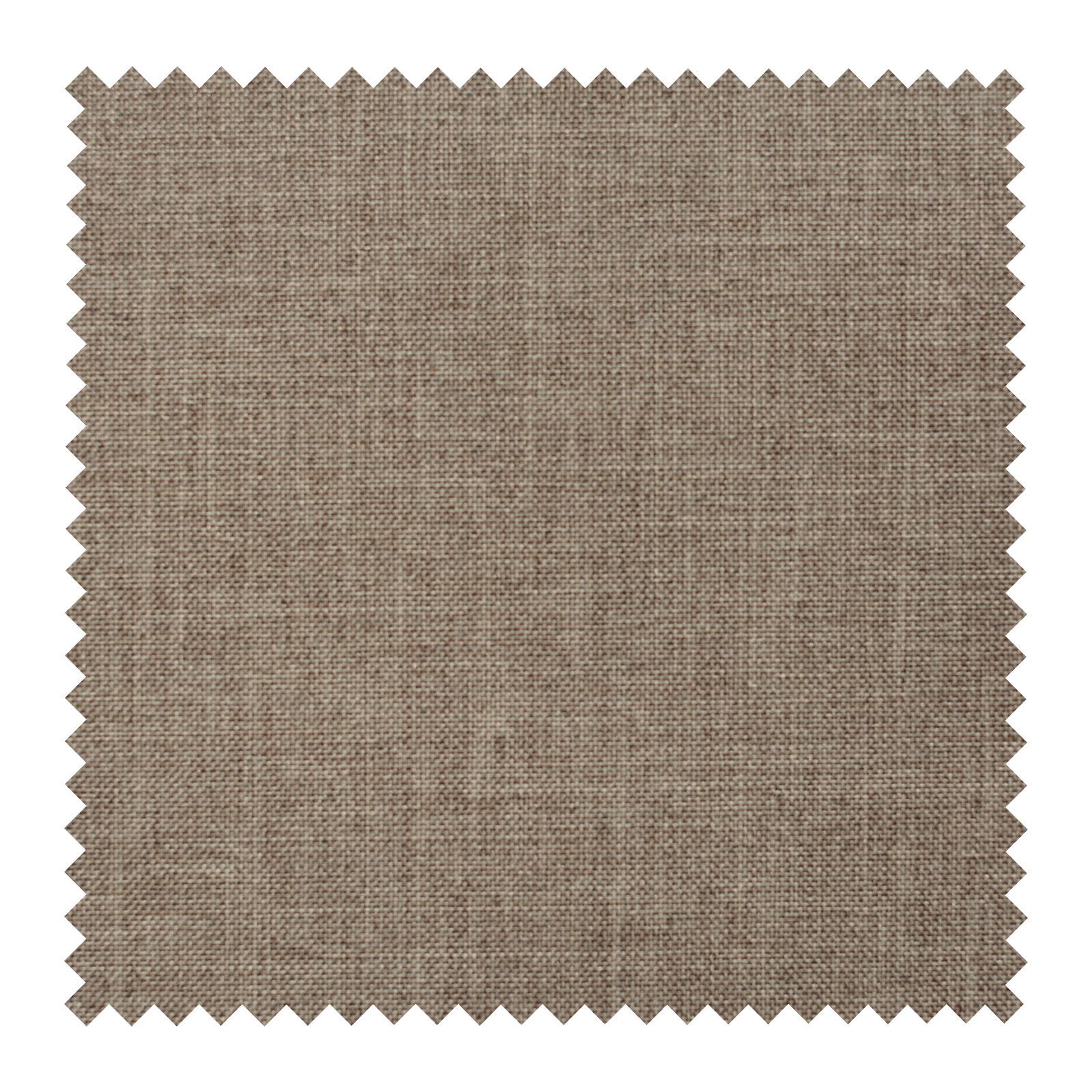 Coffee 01303