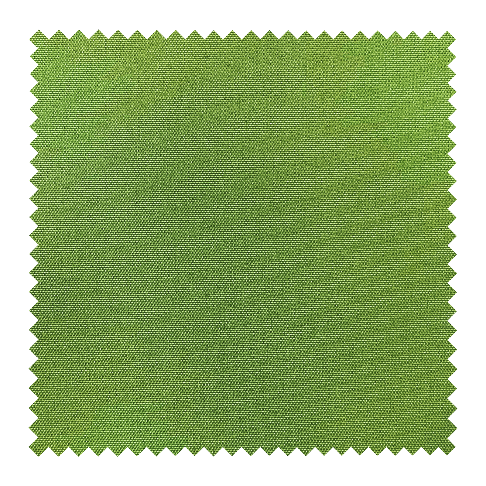 Apple Green 03301