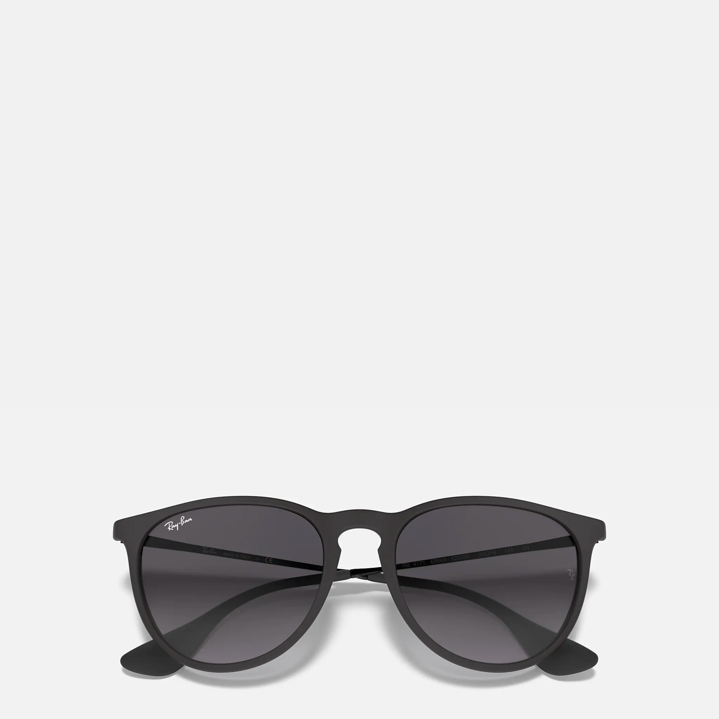 Ray-Ban Erika Sunglasses