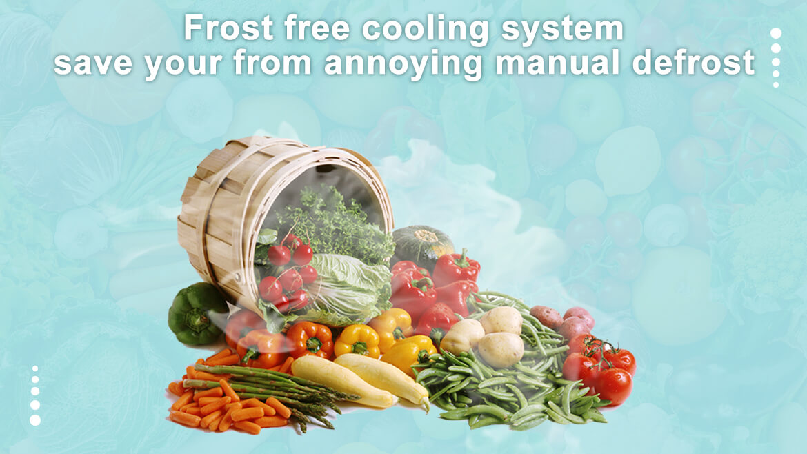 Frost free Smad Appliances cooling system - Save yourself from annoying manual defrosting