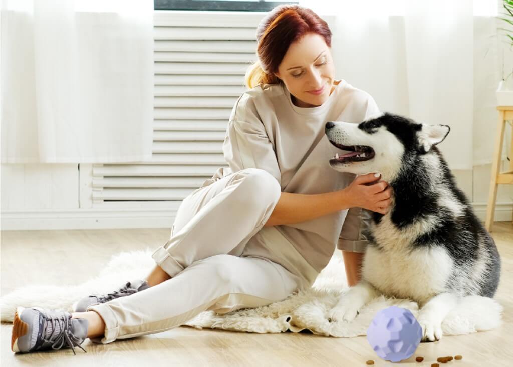 pawaii pet treat dispenser ball